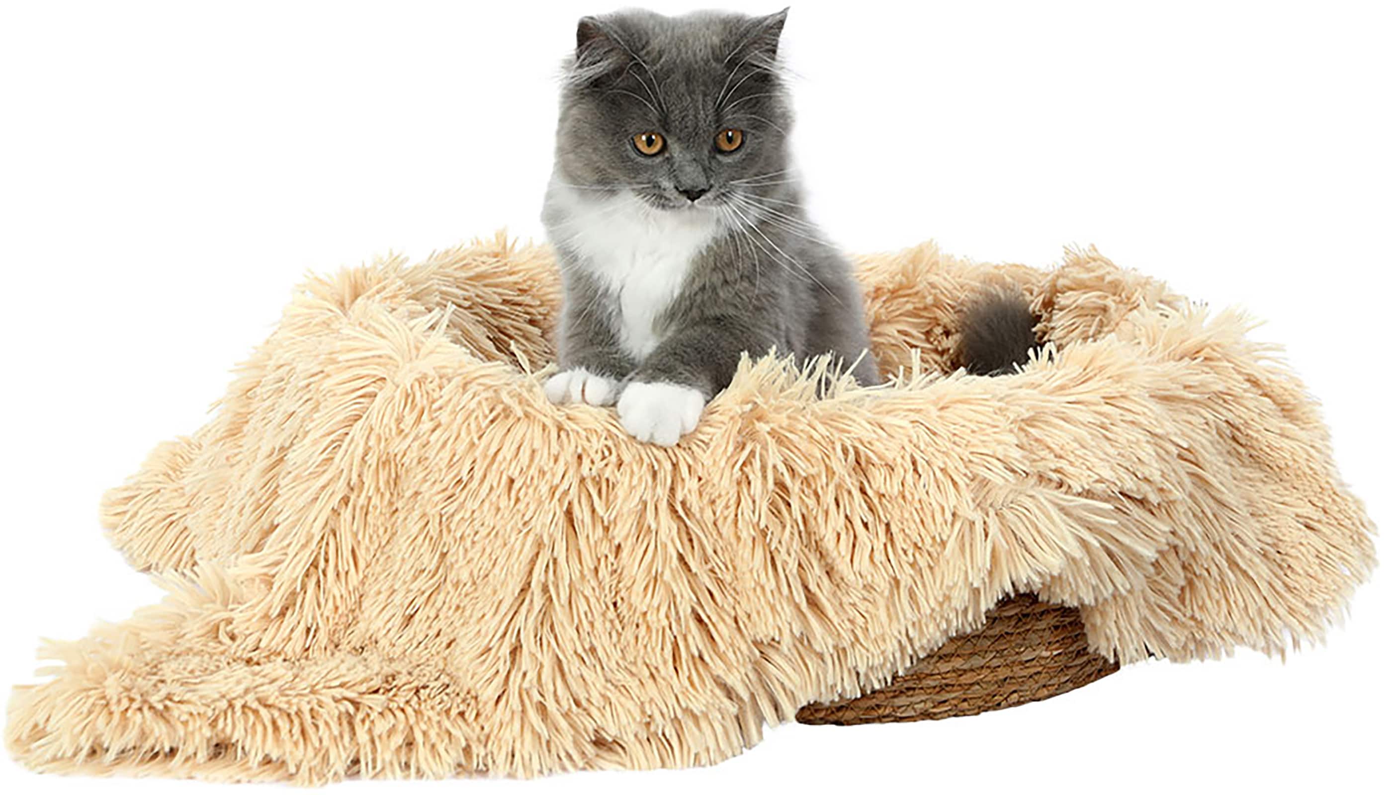 Fluffee - Woven Cat Bed with Removable Washable Cushion & Blanket, Cozy Indoor Cat Bed, Warm Round Pet Bed for 0-15kg Cats & Dogs - Beige