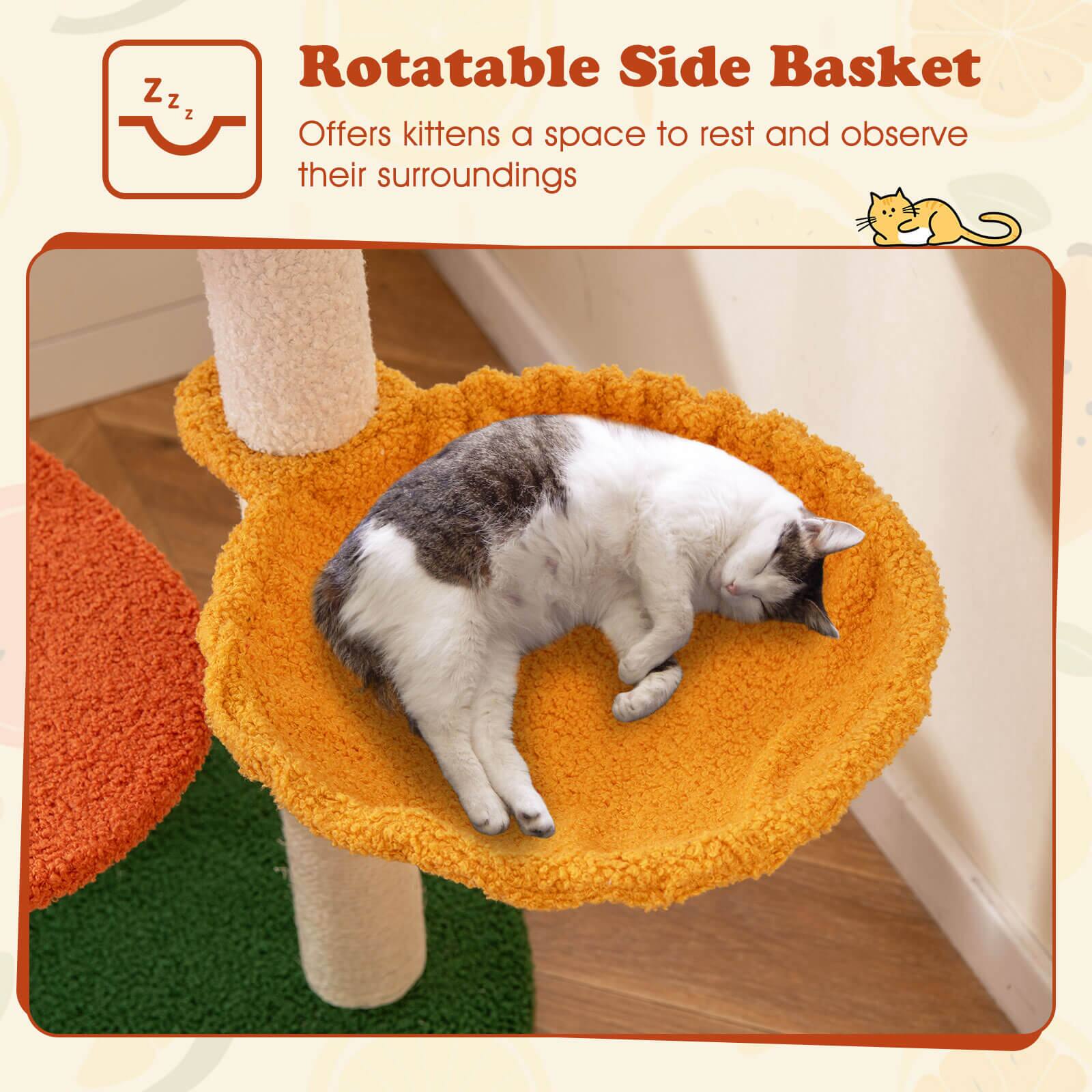 Rotatable Side Basket  
Offers kittens a space to rest and observe their surroundings
