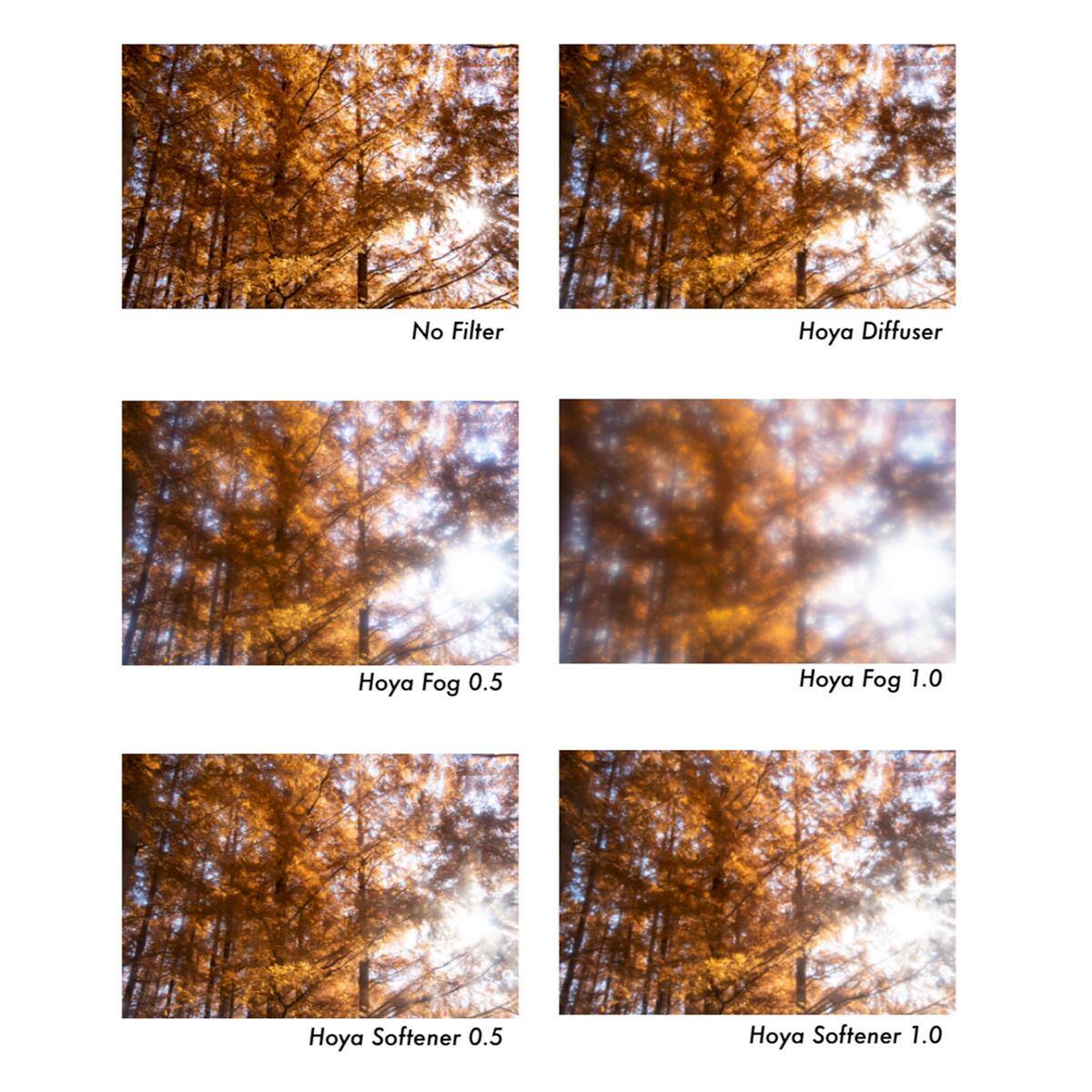 No Filter  
Hoya Diffuser  
Hoya Fog 0.5  
Hoya Fog 1.0  
Hoya Softener 0.5  
Hoya Softener 1.0