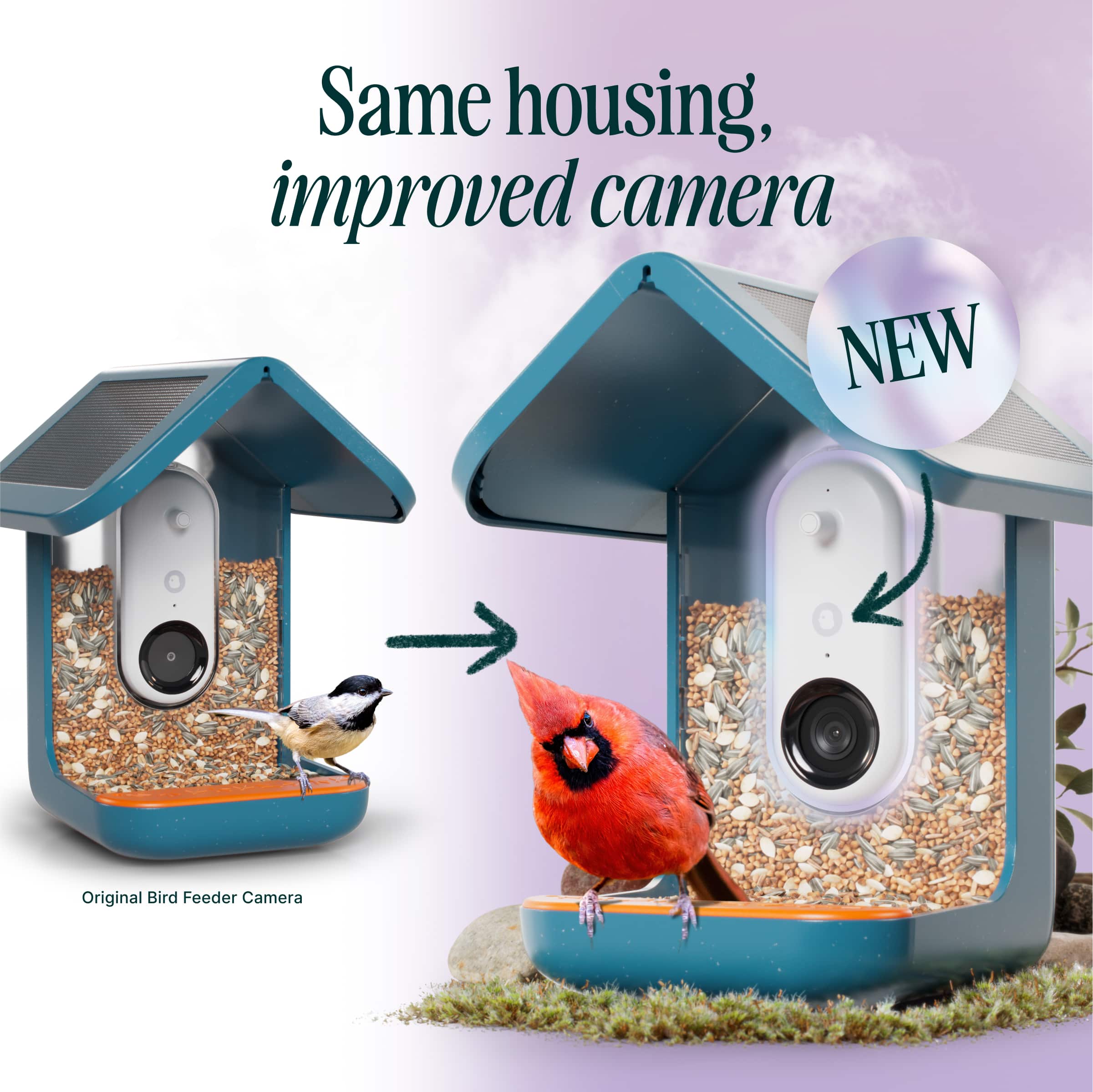 Same housing, improved camera NEW Original Bird Feeder Camera