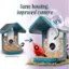 Same housing, improved camera NEW Original Bird Feeder Camera