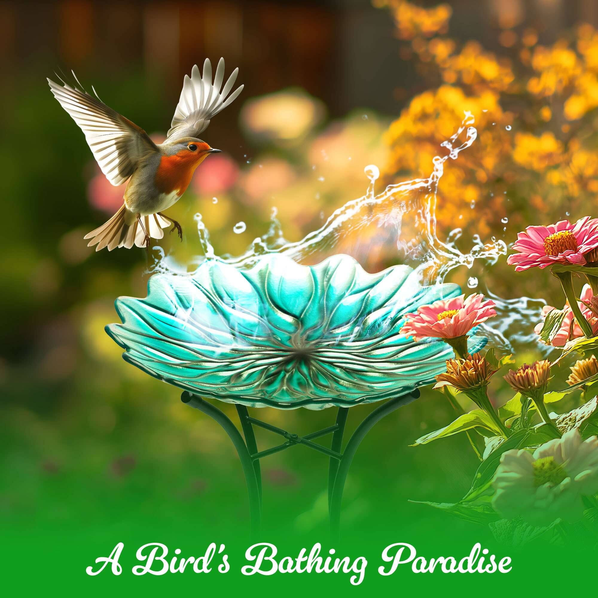 A Bird's Bathing Paradise