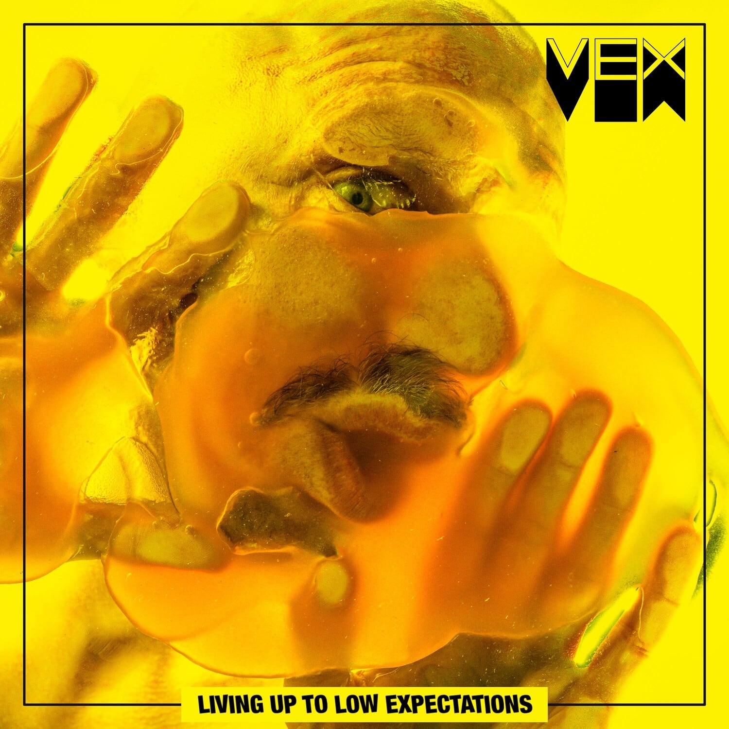 Vex - Living Up To Low Expectations   - COMPACT DISCS [CD] price history on PriceWatchPro