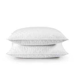 Hivvago - Set of 2 Machine Washable Down Feather Blend Pillow in Standard/Queen size - White