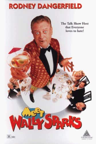 Meet Wally Sparks  - DVD