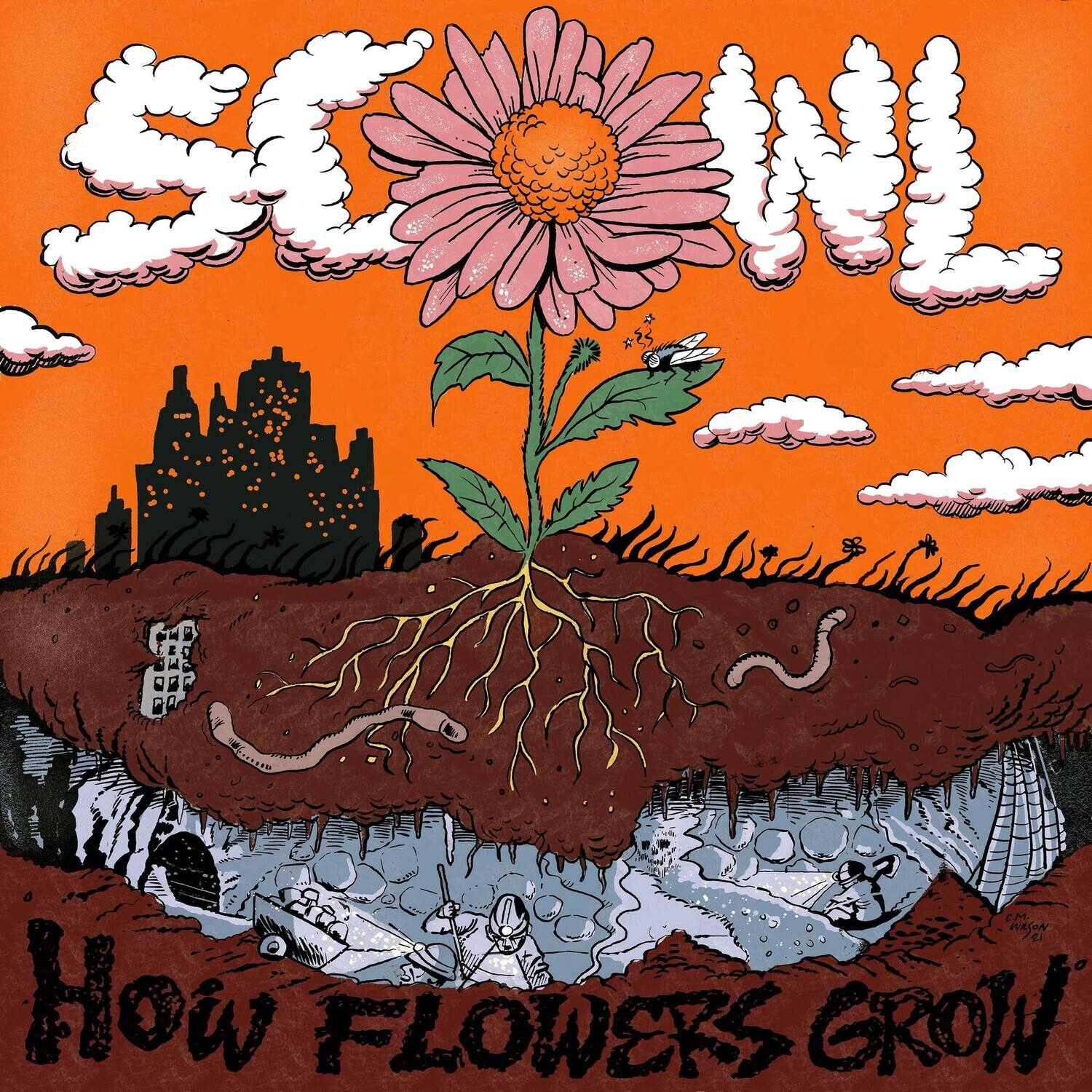 How FLOWERS GROW