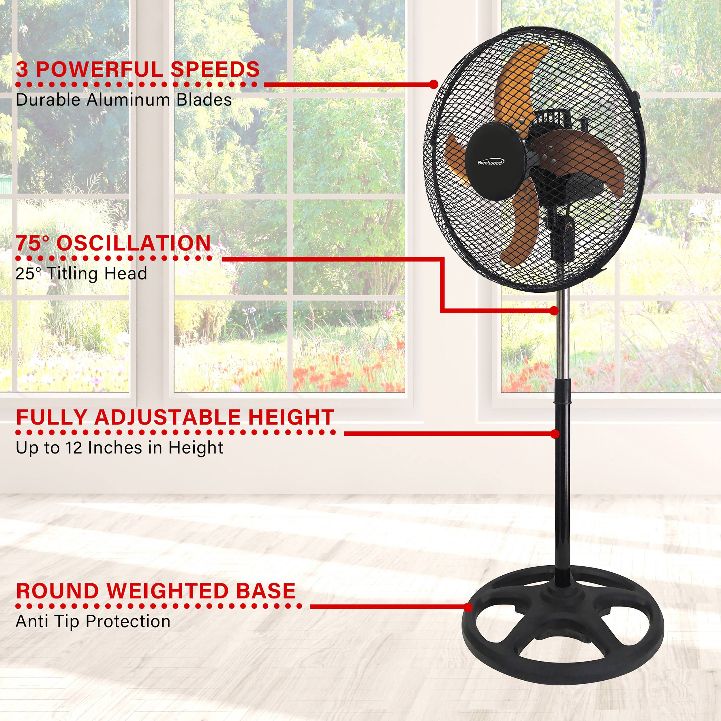 3 POWERFUL SPEEDS  
Durable Aluminum Blades  

75° OSCILLATION  
25° Tilting Head  

FULLY ADJUSTABLE HEIGHT  
Up to 12 Inches in Height  

ROUND WEIGHTED BASE  
Anti Tip Protection