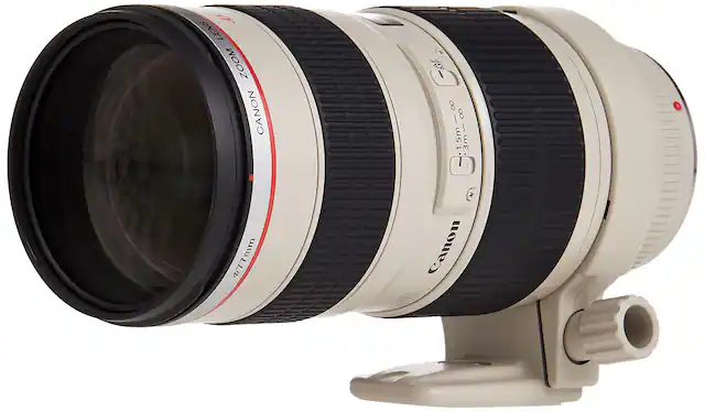 LENS ZOOM CANON RF 8-8 1.5m 3m -0 $77mm x Canon VRE