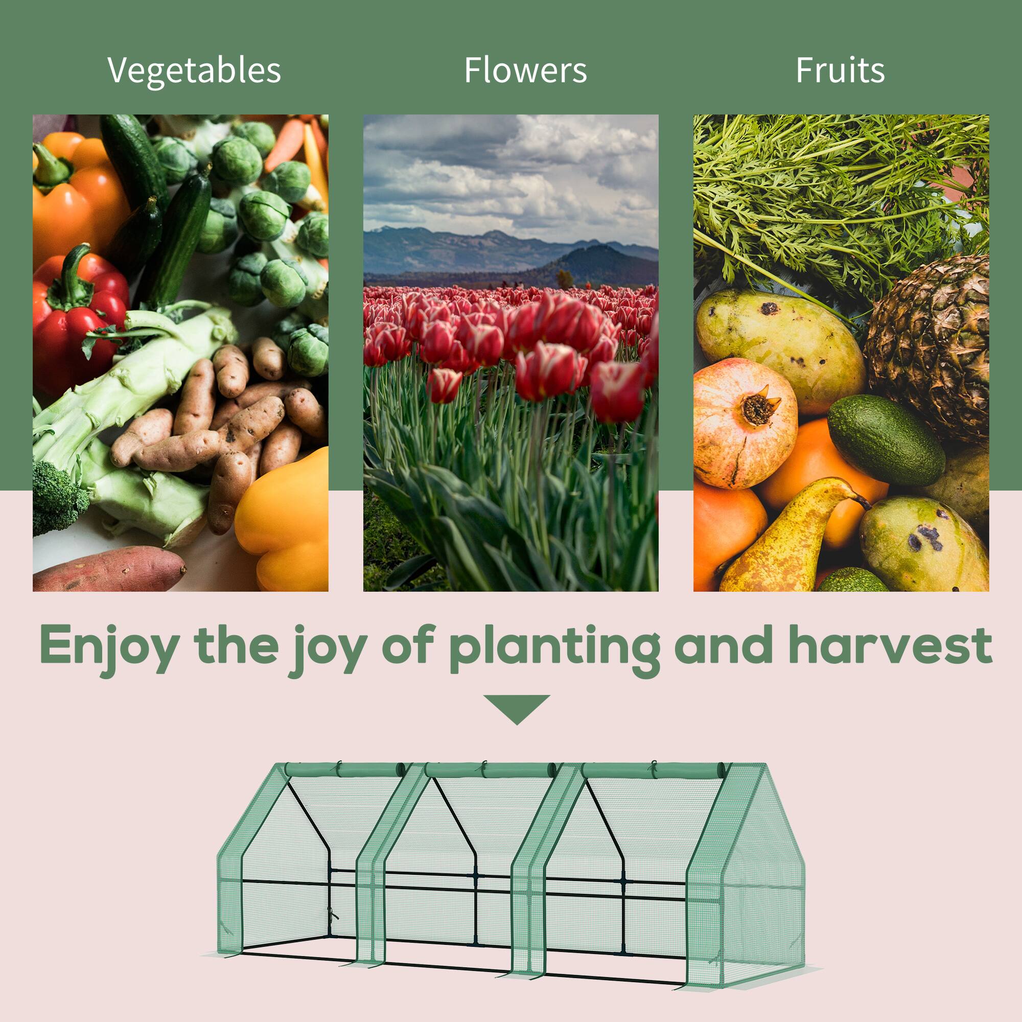 Vegetables, Flowers, Fruits, Enjoy the joy of planting and harvest