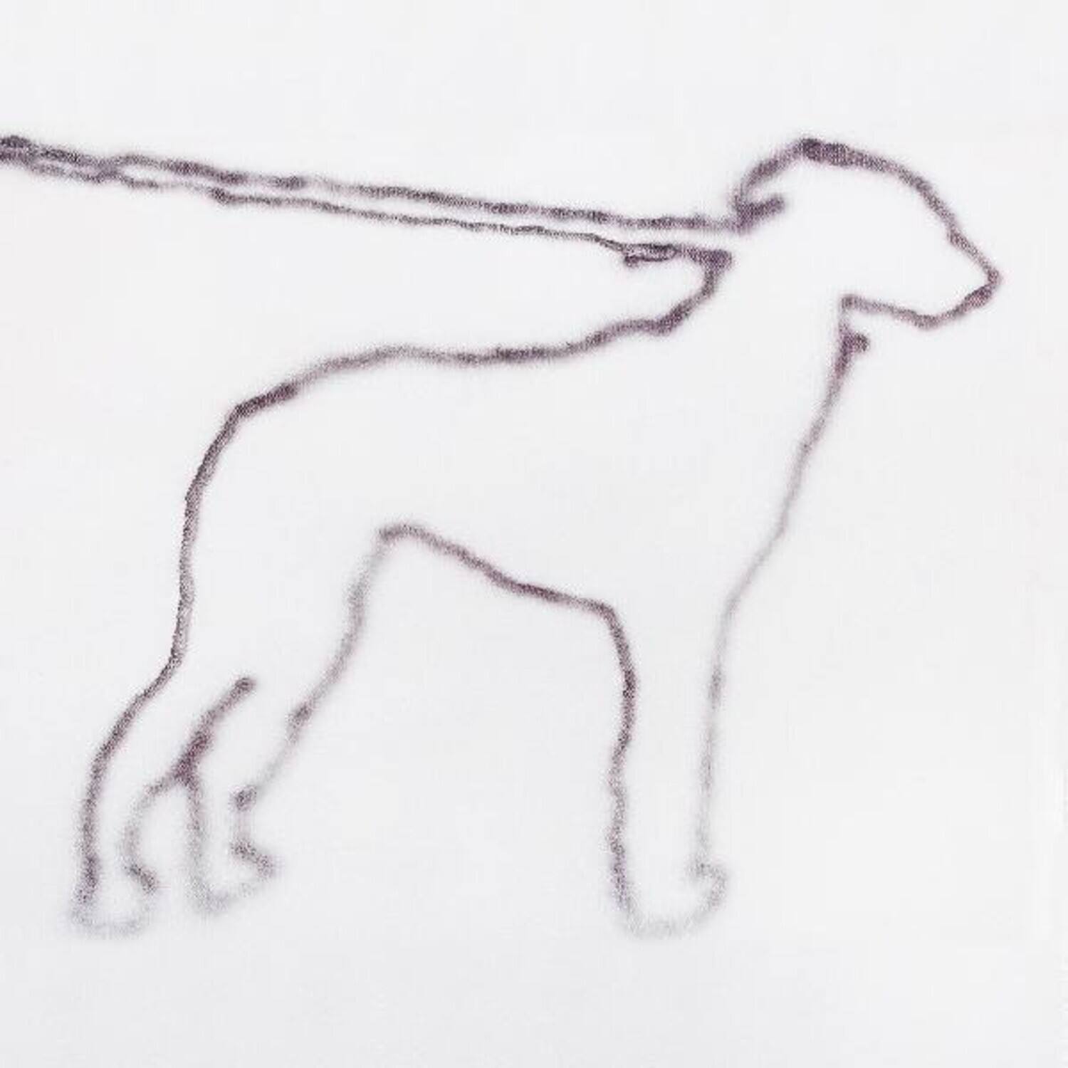 Jonah Yano - Portrait Of A Dog   - COMPACT DISCS [CD] price history on PriceWatchPro