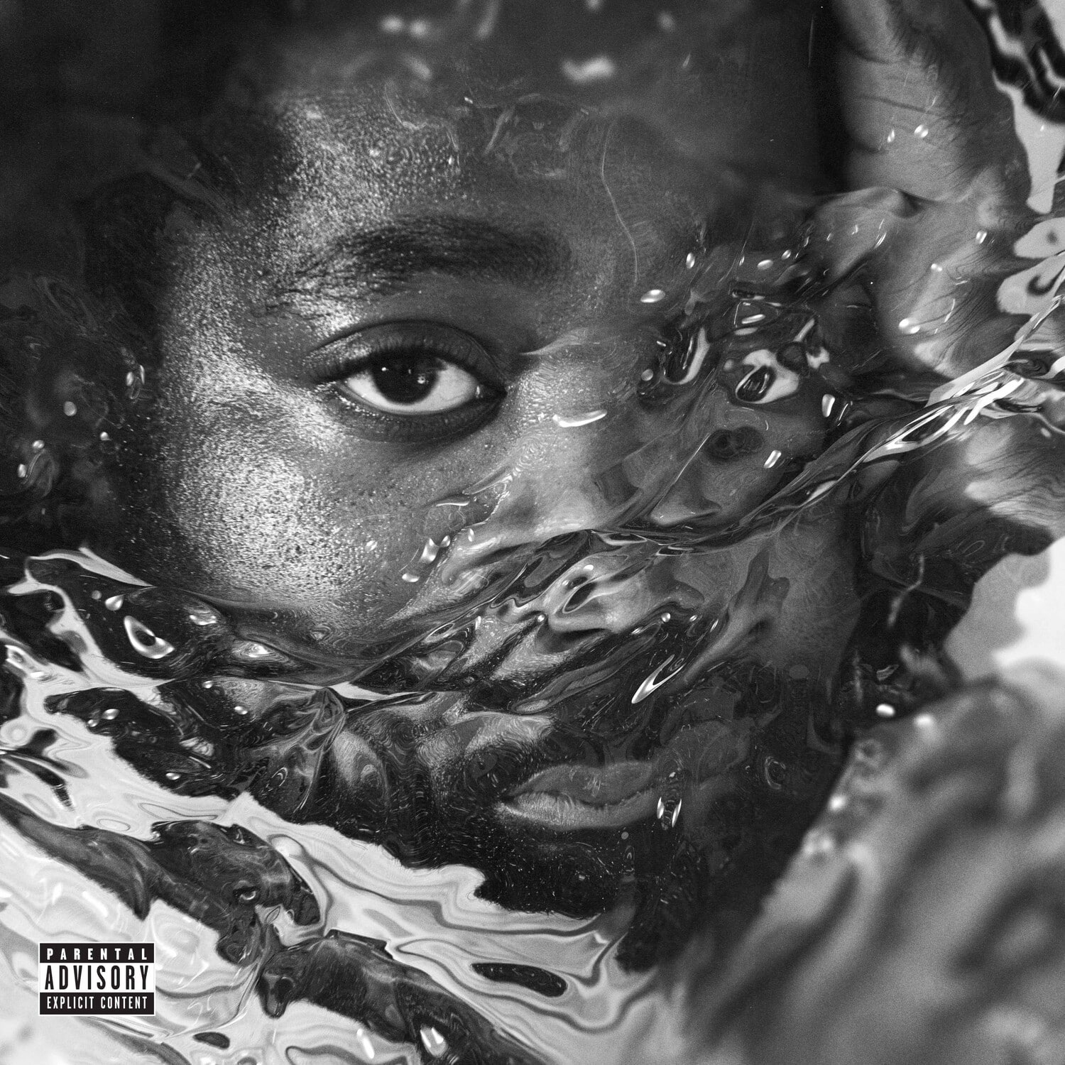 R.LUM.R - Surfacing   - VINYL LP price history on PriceWatchPro