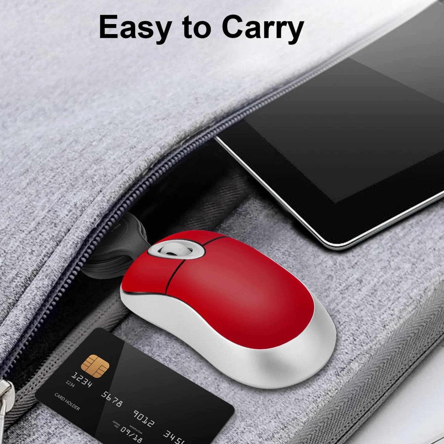 Easy to Carry

1234 1234 CARD 5678 56 HOLDER 78 - - 9012 09/18 -UT 345