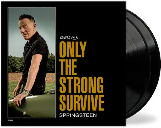 COVERS
Vol. 1
ONLY THE STRONG SURVIVE
SPRINGSTEEN
STEREO