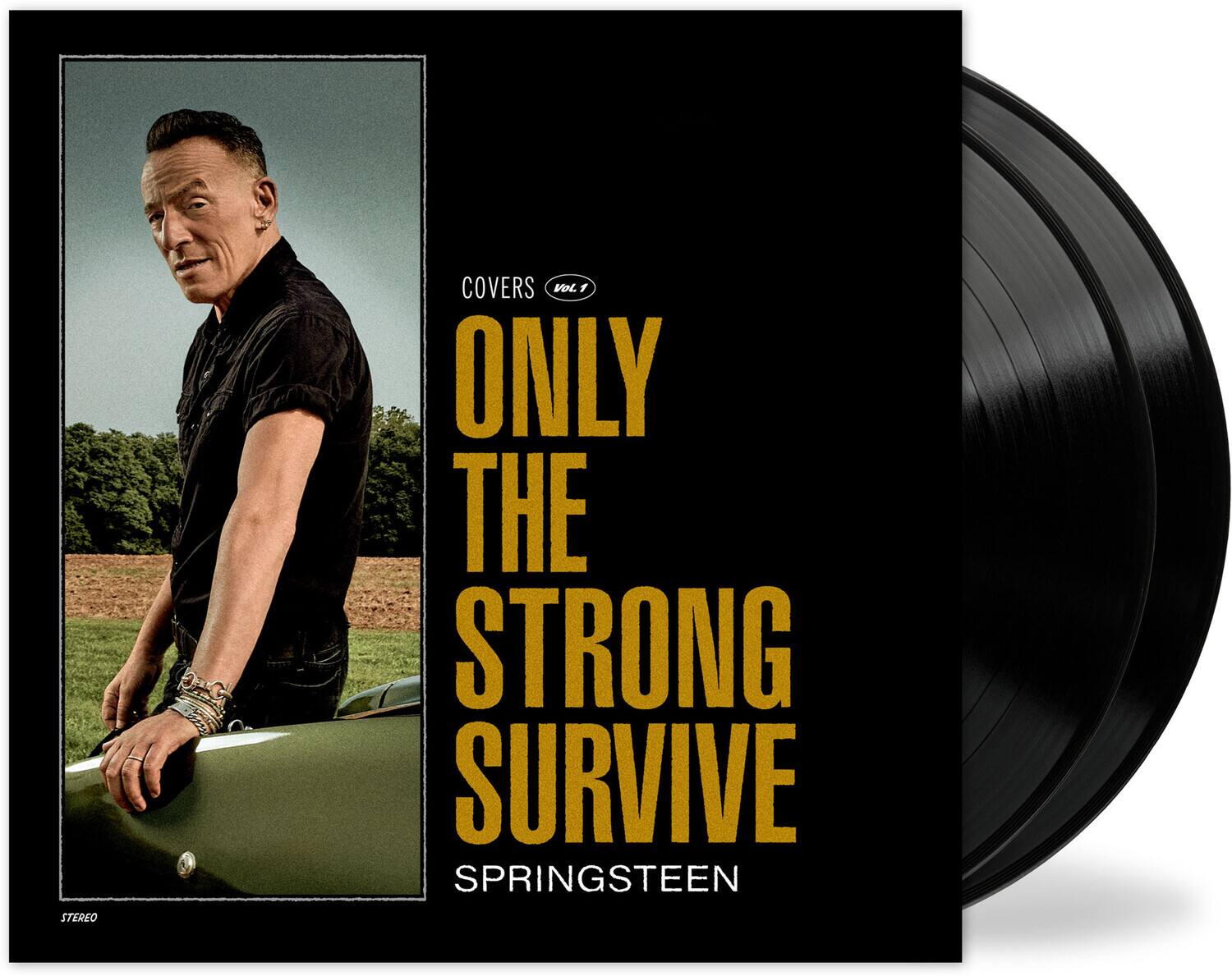 COVERS  
Vol. 1  

ONLY THE STRONG SURVIVE  

SPRINGSTEEN  

STEREO