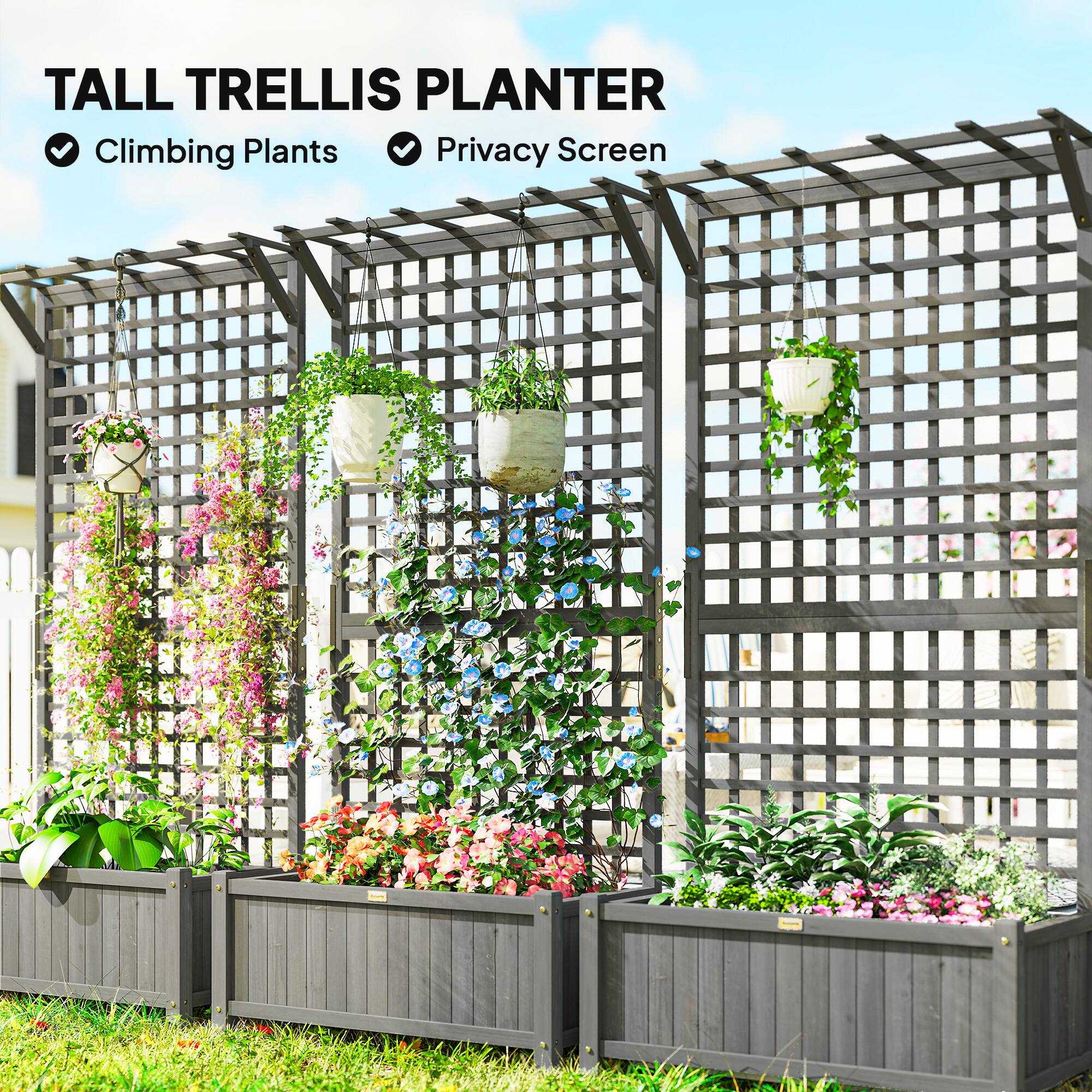 TALL TRELLIS PLANTER  
Climbing Plants  
Privacy Screen
