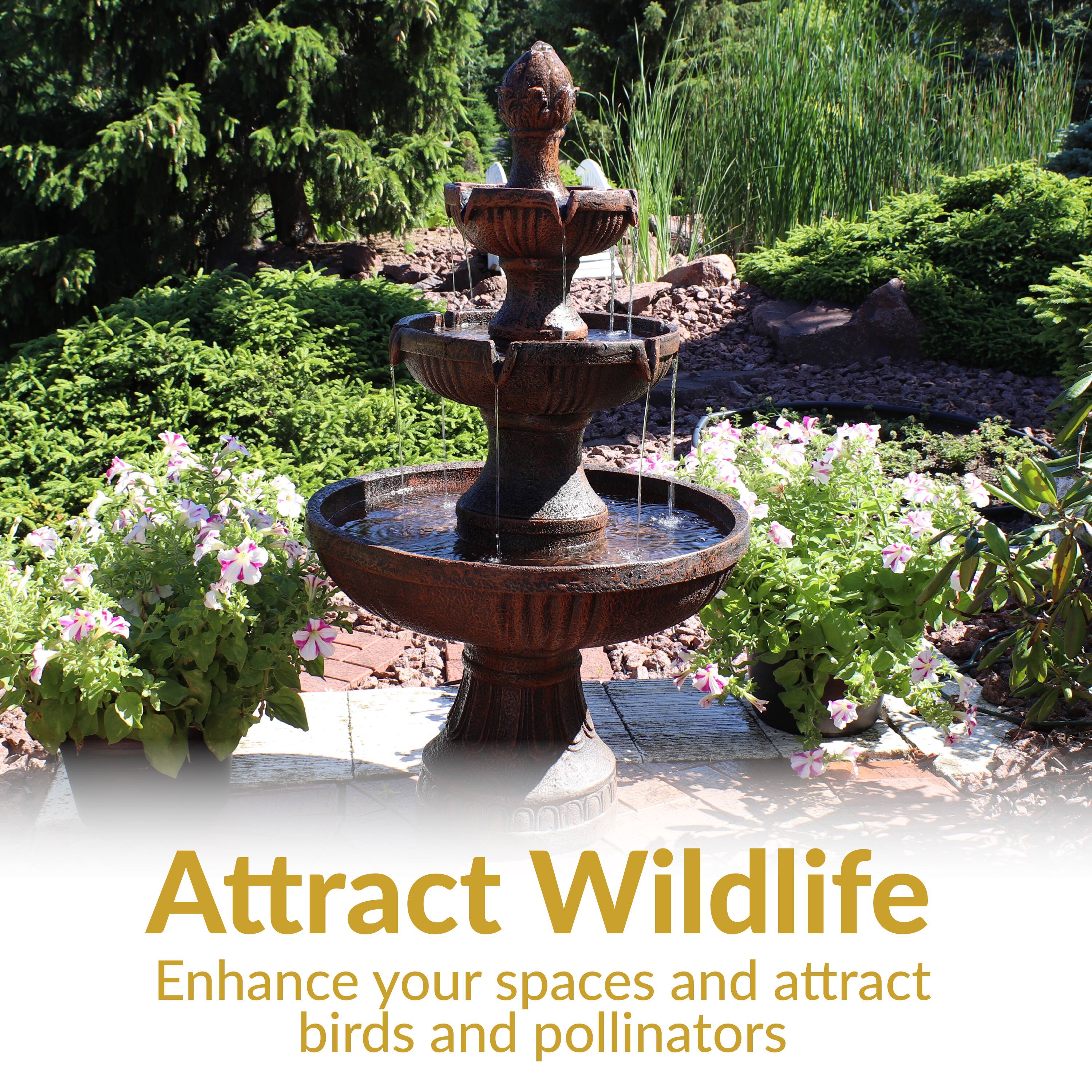 Attract Wildlife  
Enhance your spaces and attract birds and pollinators