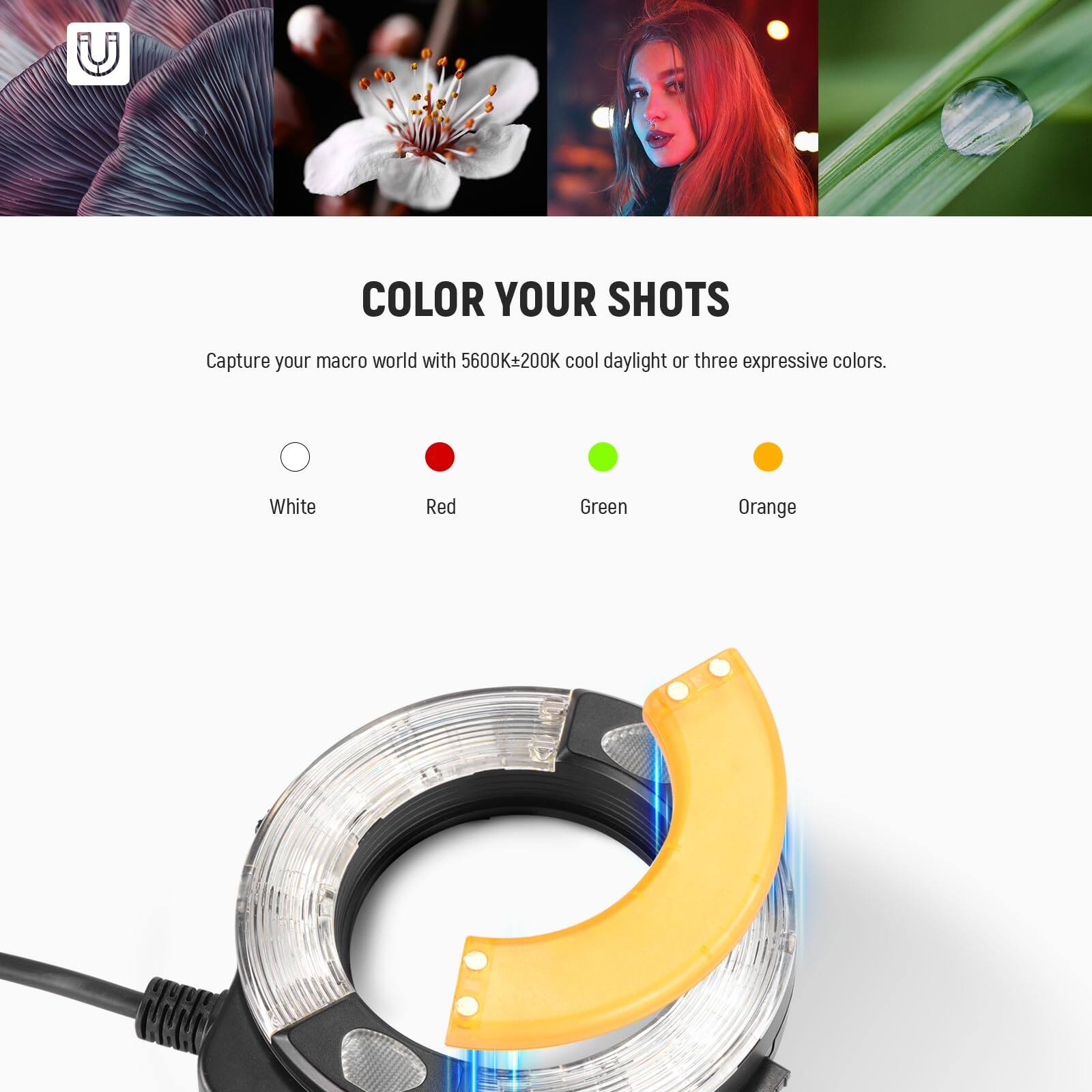 COLOR YOUR SHOTS  
Capture your macro world with 5600K+200K cool daylight or three expressive colors.  
White Red Green Orange