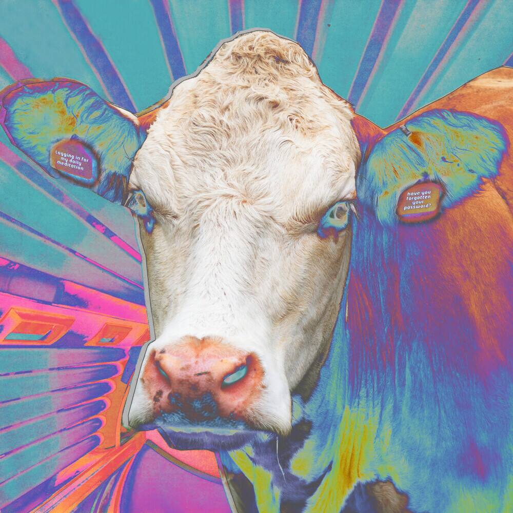 Front. Eyes of Others [LP].