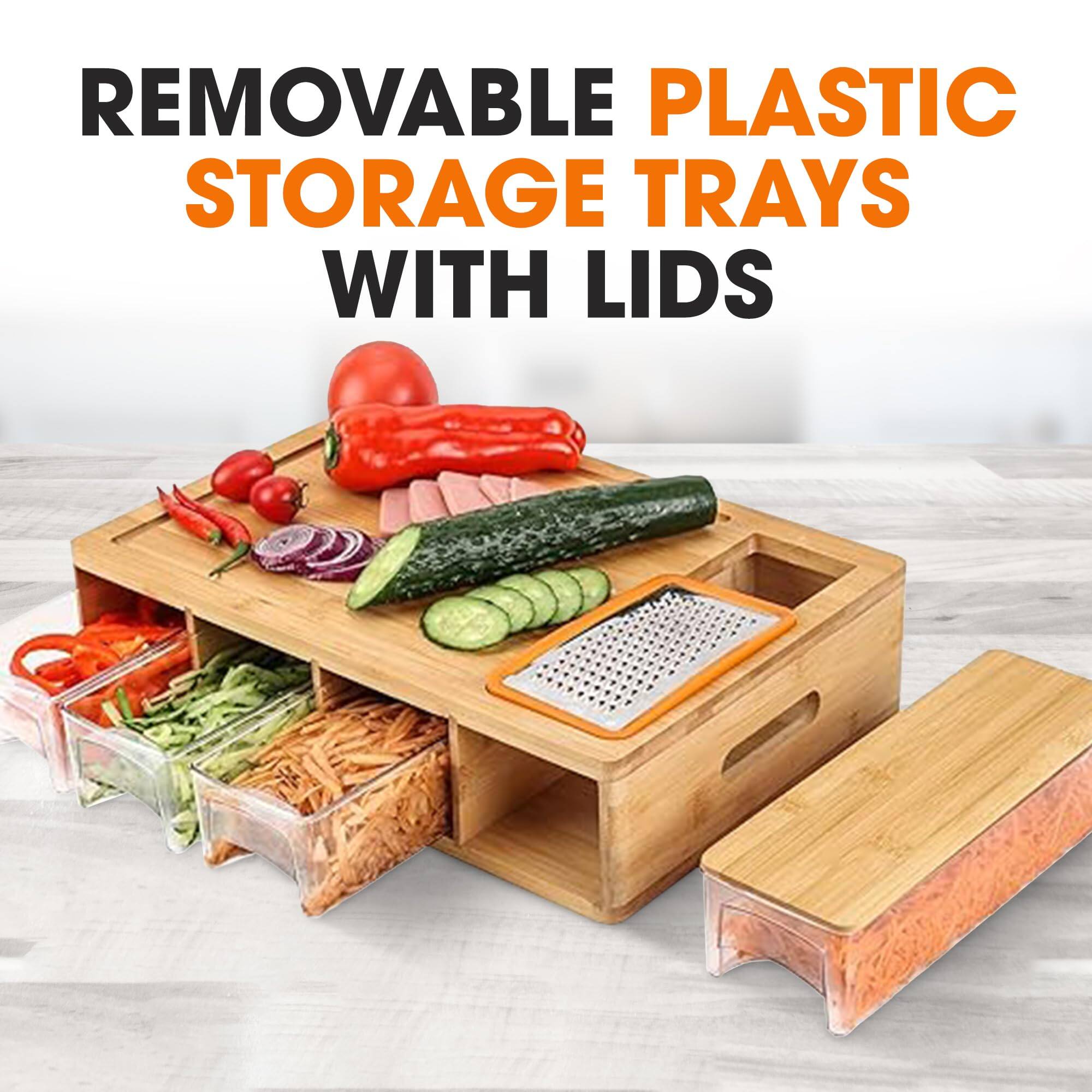 REMOVABLE PLASTIC STORAGE TRAYS WITH LIDS