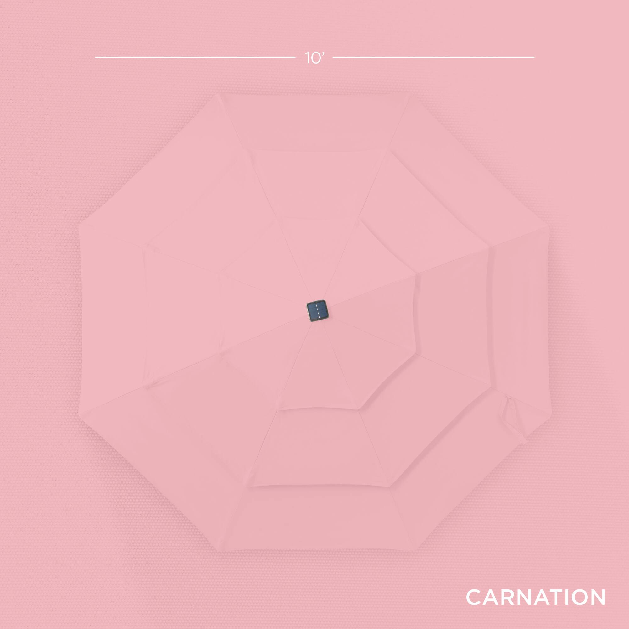 10' CARNATION