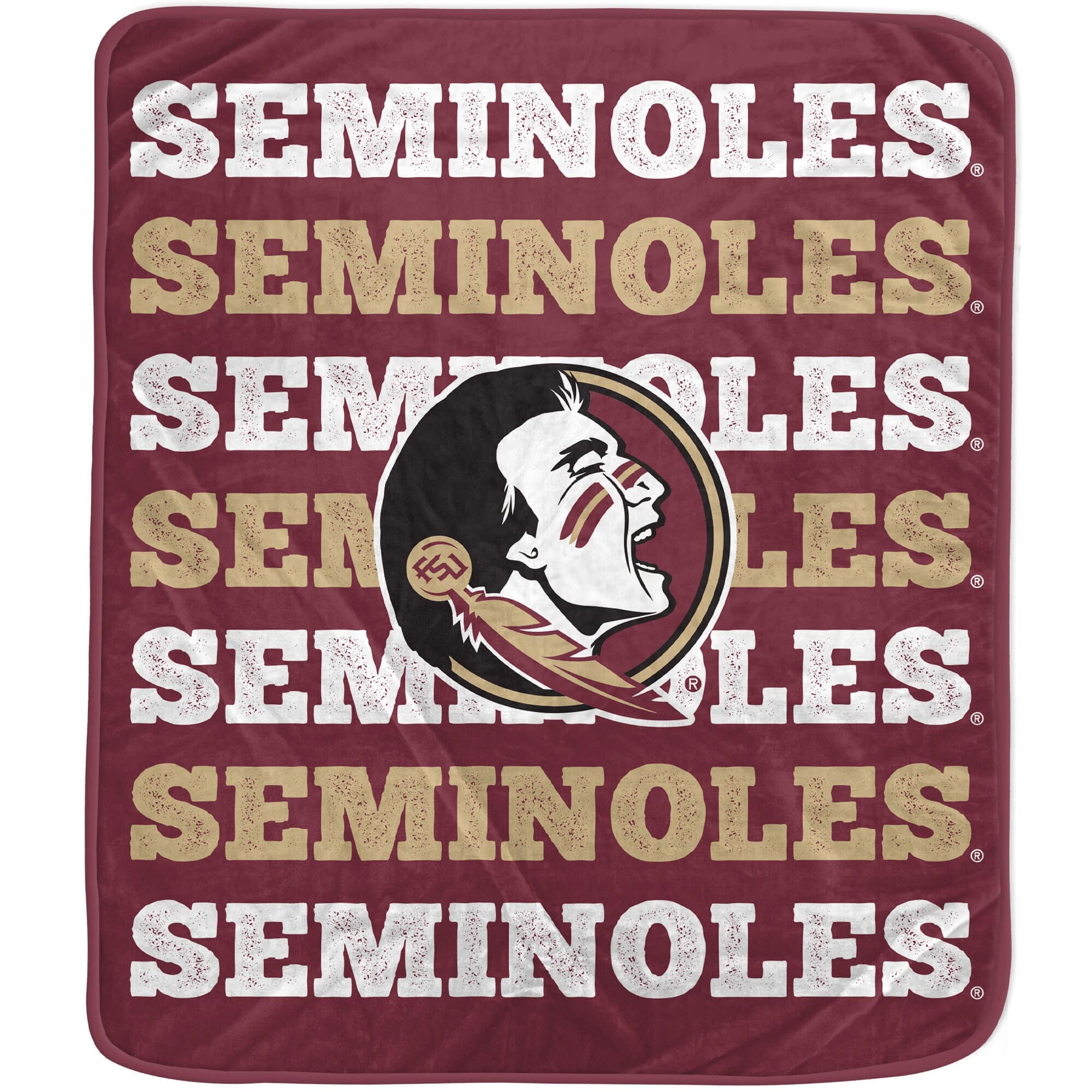 Pegasus - Florida State Seminoles 60'' x 70'' Logo Wordmark Plush Blanket - Multicolor