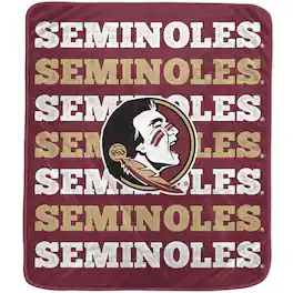 Pegasus - Florida State Seminoles 60'' x 70'' Logo Wordmark Plush Blanket - Multicolor