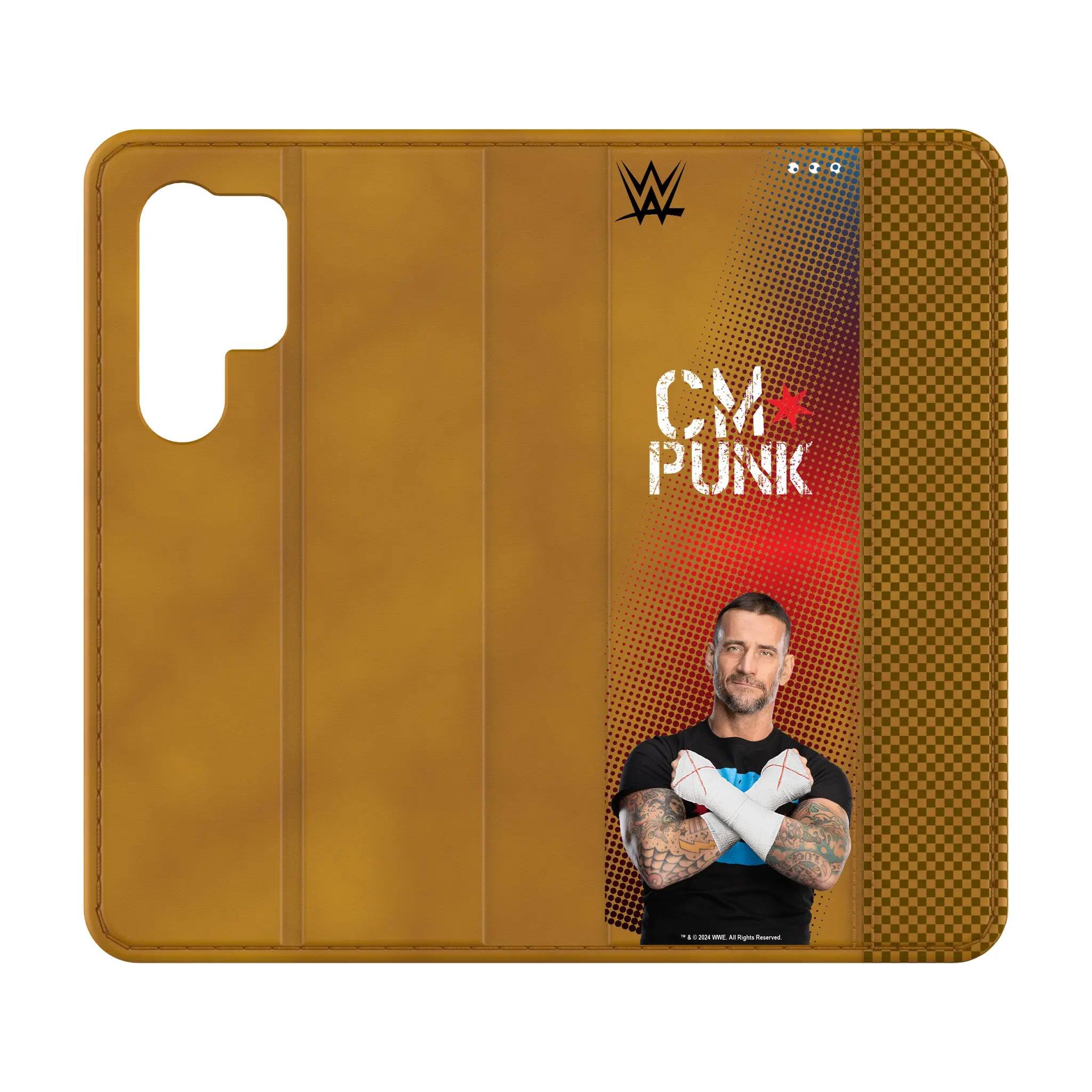 CM Punk