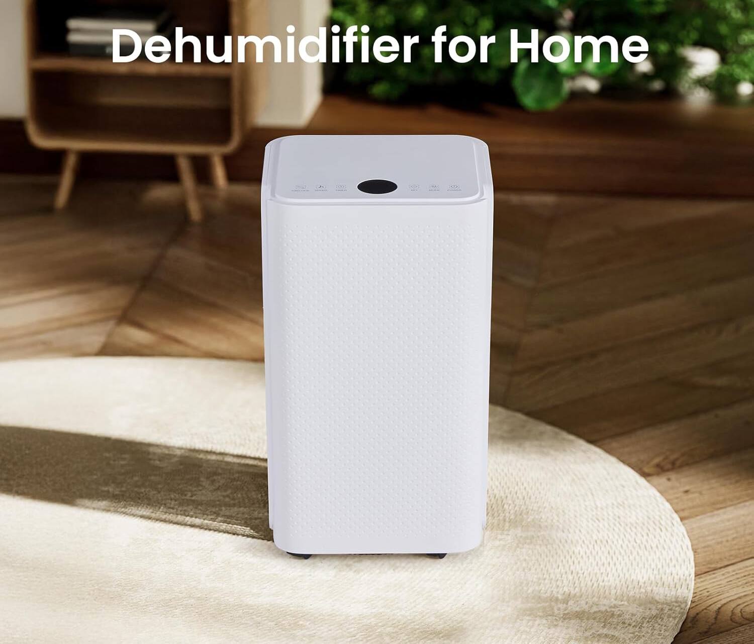 Dehumidifier for Home