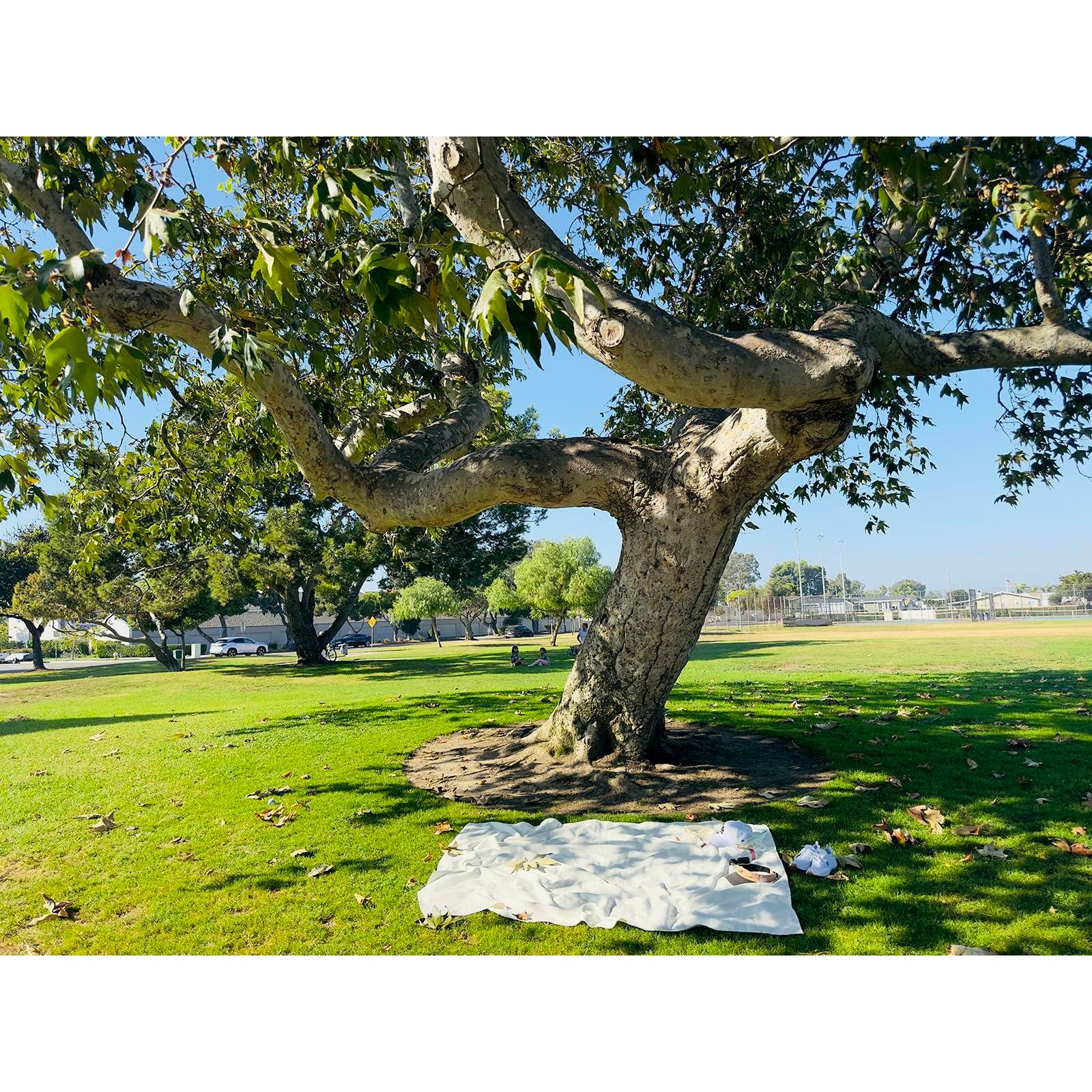 Left. Reds Spade - x Picnic Mat - Cotton Canvas Wedding Bride Groom Gift Lightweight Outdoor Camping With Vegan Leather Should... - Default.