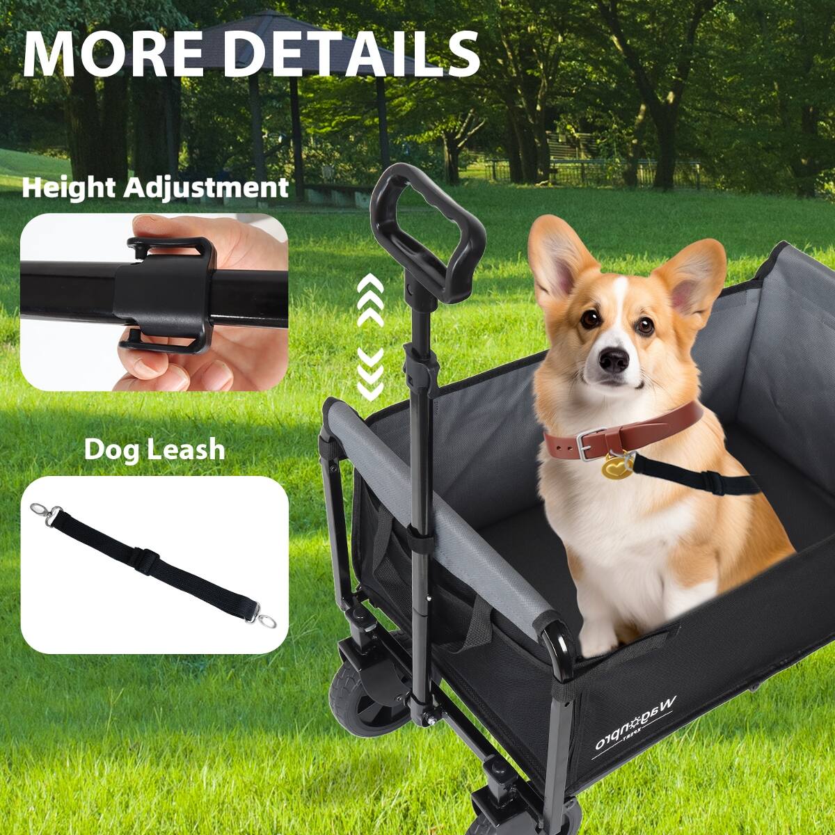 MORE DETAILS

Height Adjustment

Dog Leash