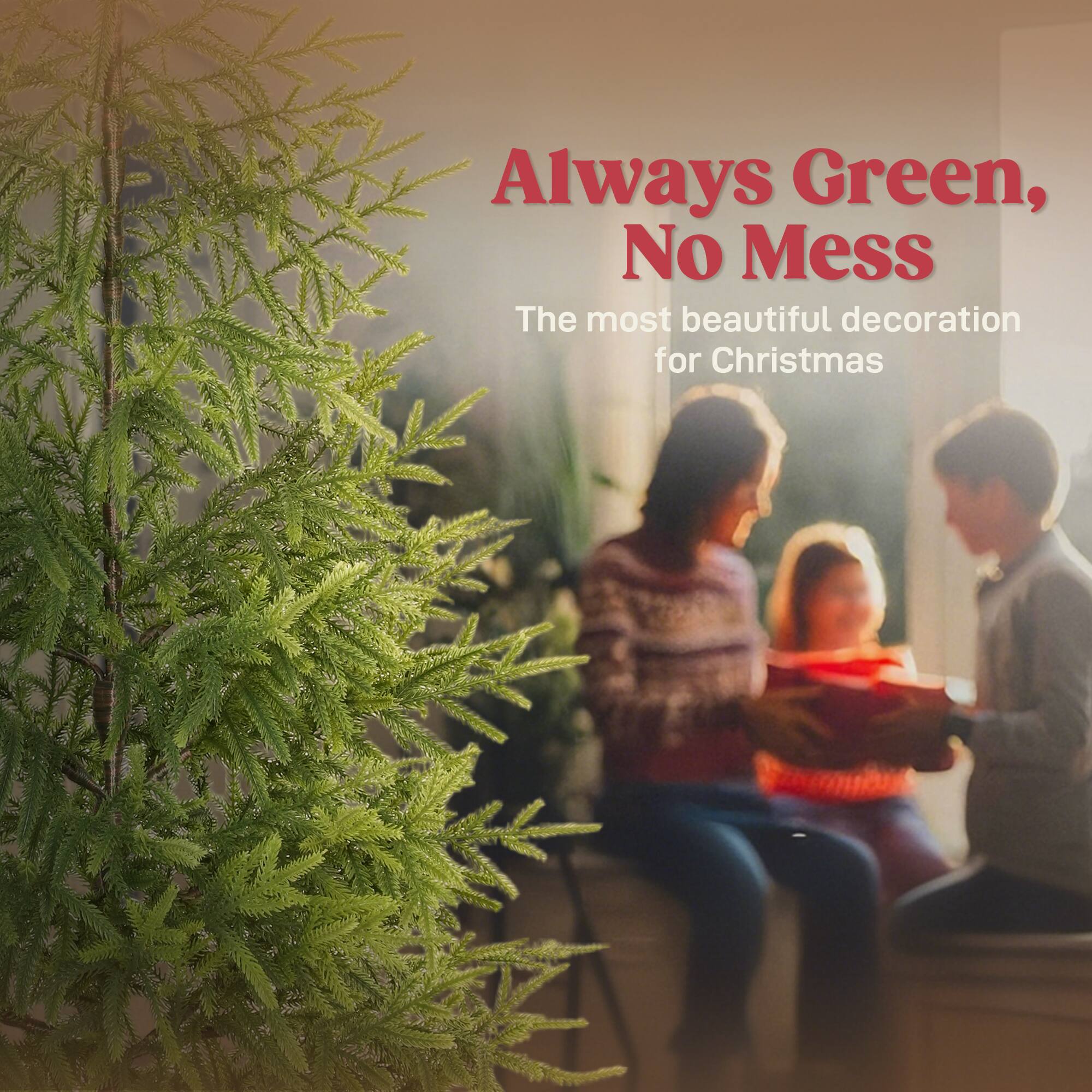 Always Green, No Mess  
The most beautiful decoration for Christmas