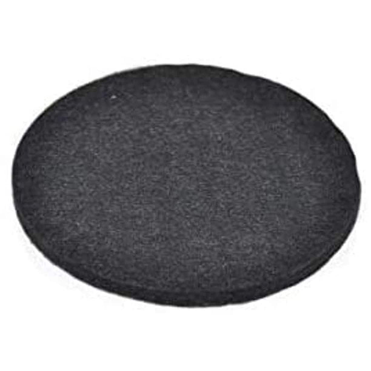 BISSELL - Vacuum Filter (1 Pack) Part #1608234