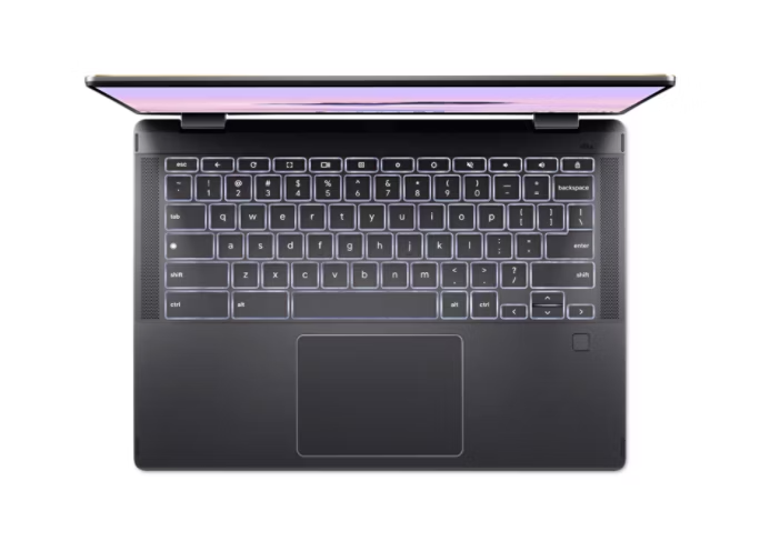 Here is the corrected and grouped text from the image:

- Esc
- F1 F2 F3 F4 F5 F6 F7 F8 F9 F10 F11 F12
- 1 2 3 4 5 6 7 8 9 0 - = Delete
- Tab Q W E R T Y U I O P
- Caps Lock A S D F G H J K L ; '
- Shift Z X C V B N M , . / Shift
- Ctrl Fn Windows Alt Spacebar Alt Ctrl
- Enter
- Backspace
- Insert Home Page Up Delete End Page Down
- Left Arrow Down Arrow Right Arrow
- Alt Tab Ctrl