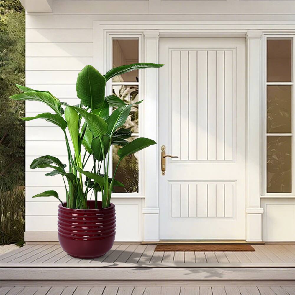 Alt View 4. Loheer - Loheer Ceramic Planter Set of 3, Handmade Glazed Red Clay Flower Pots, 15 11 8 Inch Indoor Outdoor Planters.