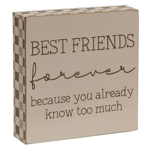 BEST FRIENDS forever because you already know too much