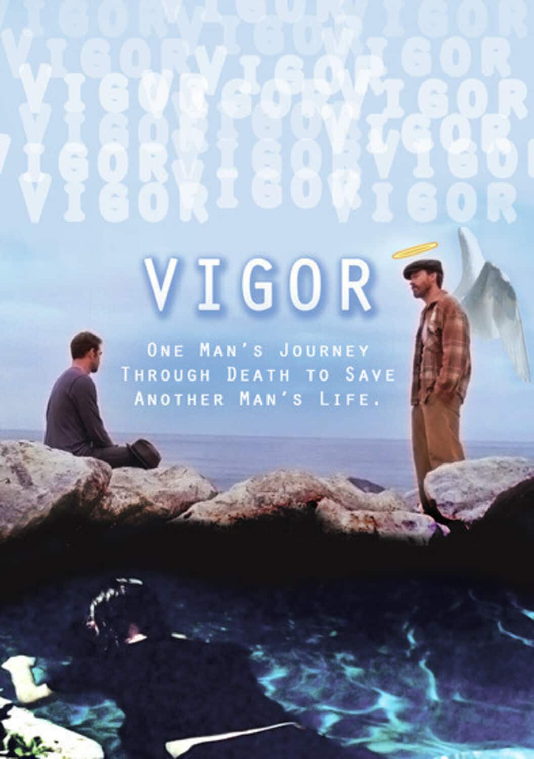 Vigor  - DVD