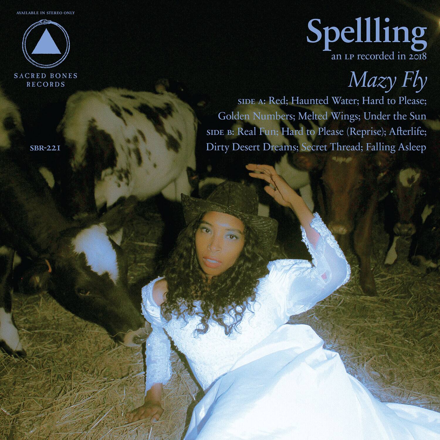 Spelling - Mazy Fly - Blue   - VINYL LP price history on PriceWatchPro