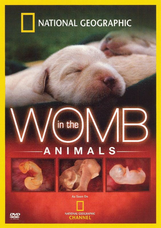 national-geographic-in-the-womb-animals-dvd-2006-best-buy