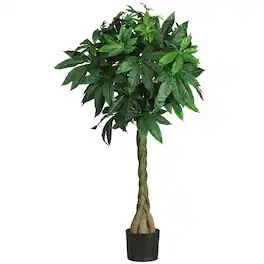 BreeBe - 51" Braided Money Tree w/370 Lvs - Green