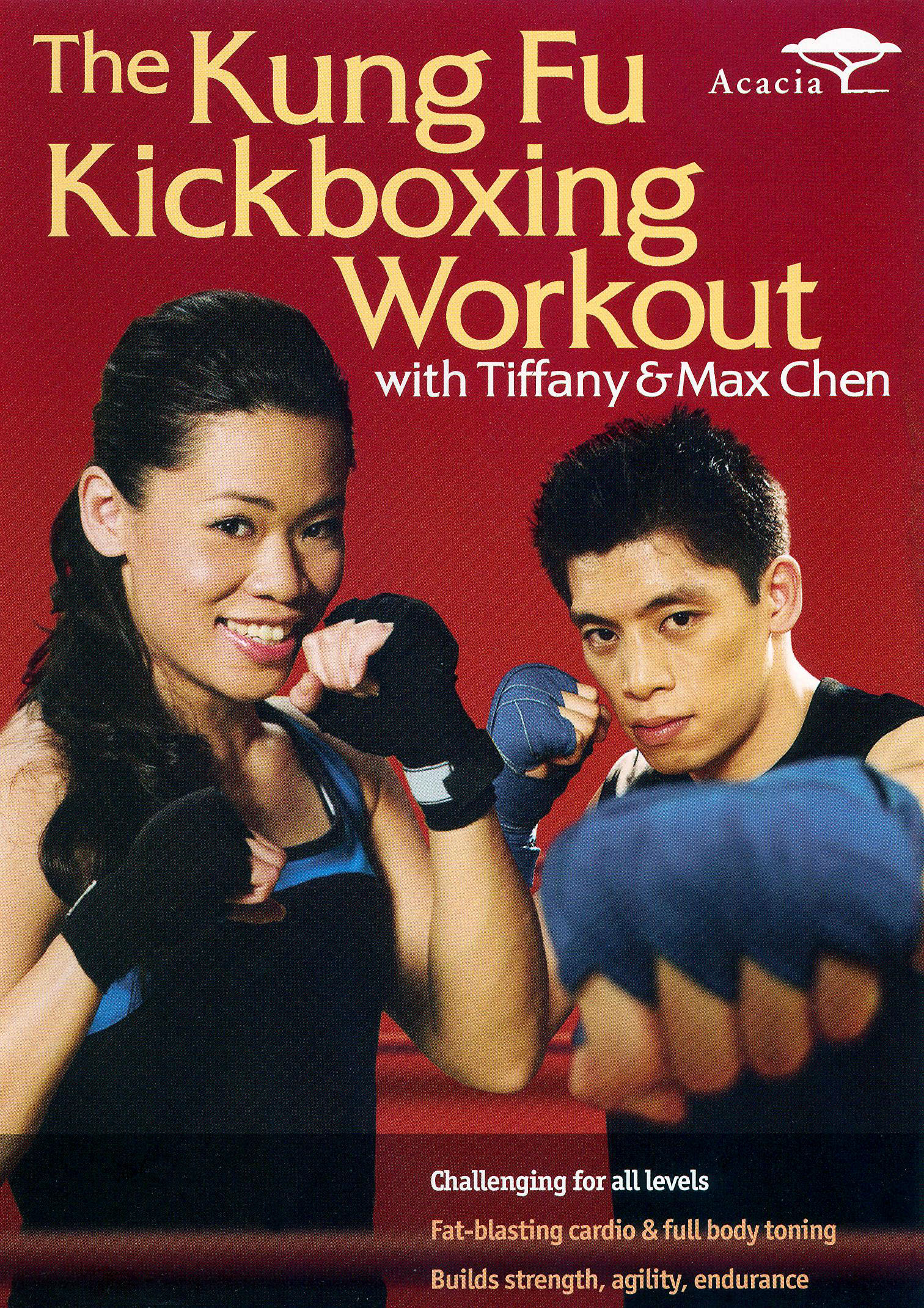 Kung Fu Kickboxing Workout Dvd