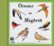 Front Standard. Sounds of Nature: Birds of North-West Africa [CD].