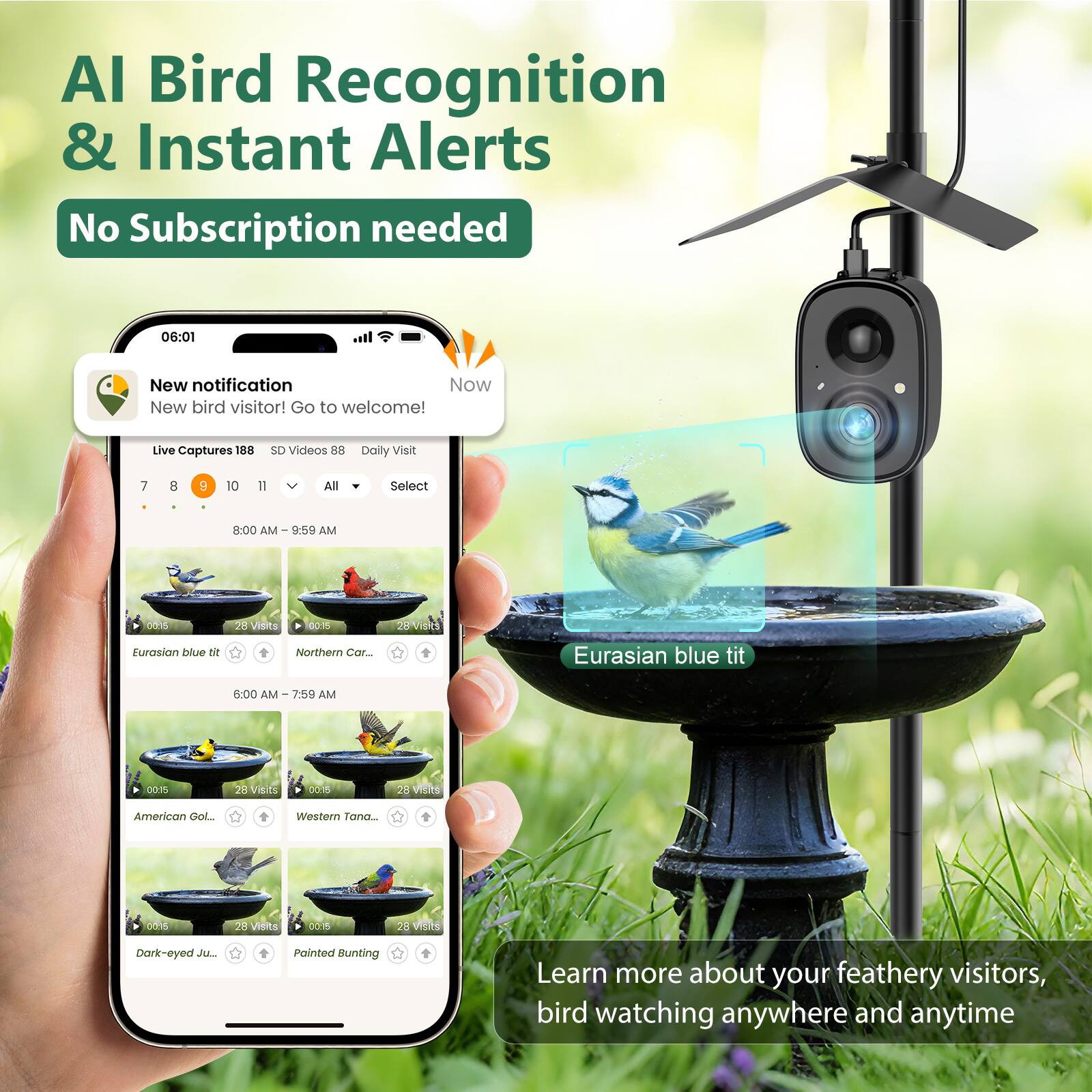 AI Bird Recognition & Instant Alerts  
No Subscription needed  

New notification  
Now  
New bird visitor! Go to welcome!  

Live Captures 188  
SD Videos 88  
Daily Visit  

8:00 AM - 9:59 AM  
Eurasian blue tit  
00:15  
28 Visits  

6:00 AM - 7:59 AM  
American Goldfinch  
00:15  
28 Visits  
Western Tanager  
00:15  
28 Visits  
Dark-eyed Junco  
00:15  
28 Visits  
Painted Bunting  
00:15  
28 Visits  

Learn more about your feathery visitors, bird watching anywhere and anytime