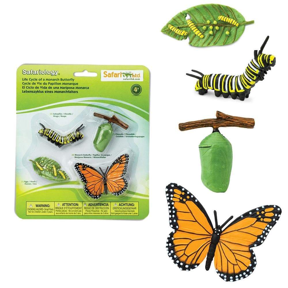 Safariology  
Life Cycle of a Monarch Butterfly  
Cycle de Vie du Papillon Monarque  
El Ciclo de Vida de una Mariposa Monarca  
Lebenszyklus eines Monarchfalters  

WARNING: CHOKING HAZARD - Small parts. Not for children under 3 years.  
ATTENTION: RISQUE D'ÉTOUFFEMENT - Petits éléments. Ne convient pas aux enfants de moins de 3 ans.  
ADVERTENCIA: RIESGO DE OBSTRUCCIÓN - Piezas pequeñas. No es adecuado para niños menores de 3 años.  
ACHTUNG: ERSTICKUNGSGEFAHR - Kleine Teile. Nicht für Kinder unter 3 Jahren geeignet.