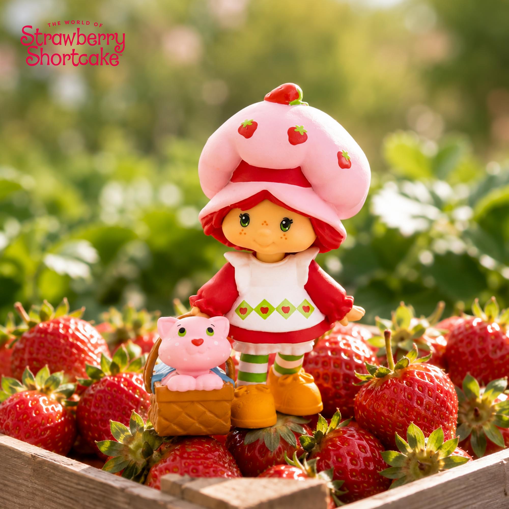 The World of Strawberry Shortcake