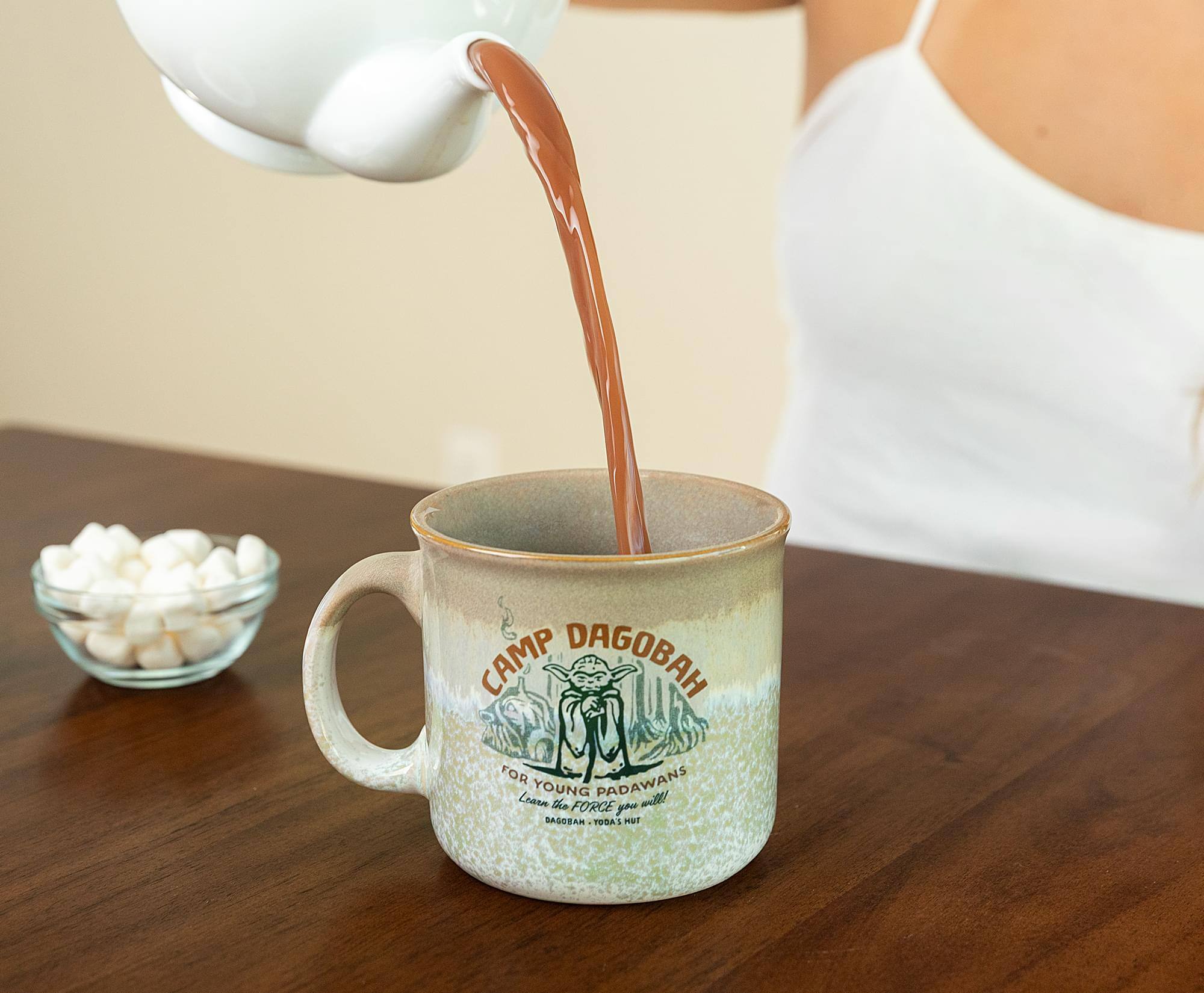 CAMP DAGOBAH  
FOR YOUNG PADAWANS  
Learn the FORCE you will!  
SAGAAM - TODAS HUT