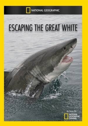 Front. Escaping the Great White - DVD.