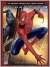  Spider-Man 3 (2 Disc) - Widescreen Dubbed Subtitle AC3 - DVD