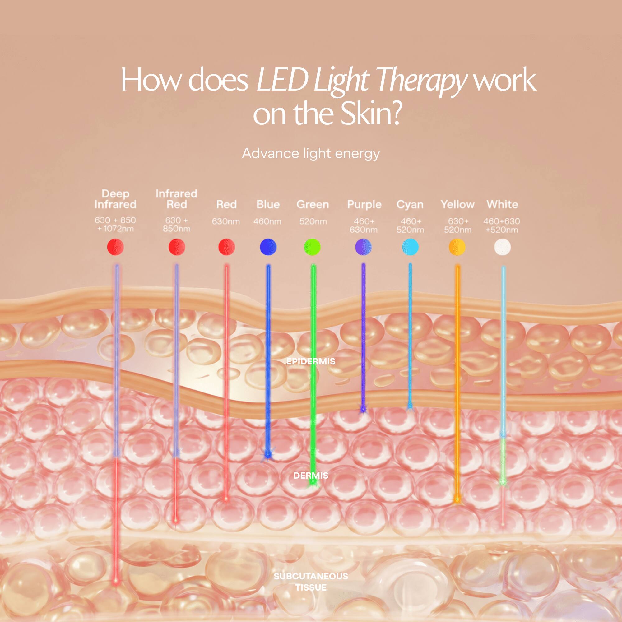 How does LED Light Therapy work on the Skin?

Advance light energy

Deep Infrared: 630 + 850 + 1072nm  
Infrared Red: 630 + 850nm  
Red: 630nm  
Blue: 460nm  
Green: 520nm  
Purple: 460+ 630nm  
Cyan: 460+ 520nm  
Yellow: 630+ 520nm  
White: 460+630 +520nm  

EPIDERMIS  
DERMIS  
SUBCUTANEOUS TISSUE