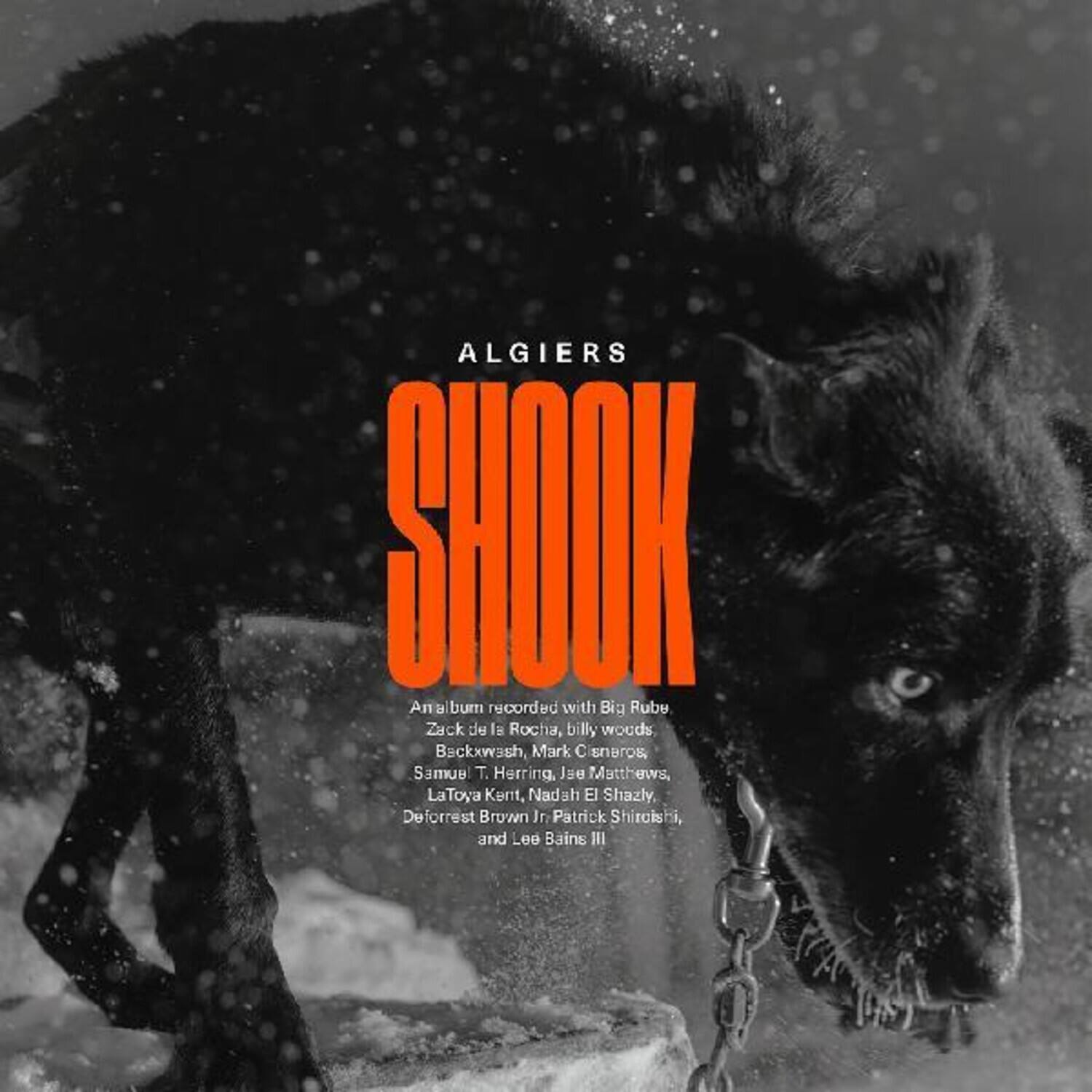 ALGIERS  
SHOOK

An album recorded with Big Rube, Zack de la Rocha, billy woods, Mark C. Sernos, Samuel T. Herring, Jue Matthews, LaToya Kent, Nadah El Shazly, Deforeest Brown Jr., Patrick Shiroishi, and Lee Bains III
