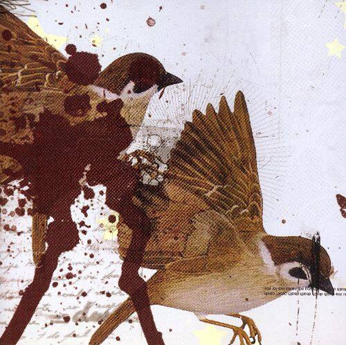 Front. This Is What the Edge of Your Seat Was Made For [CD].